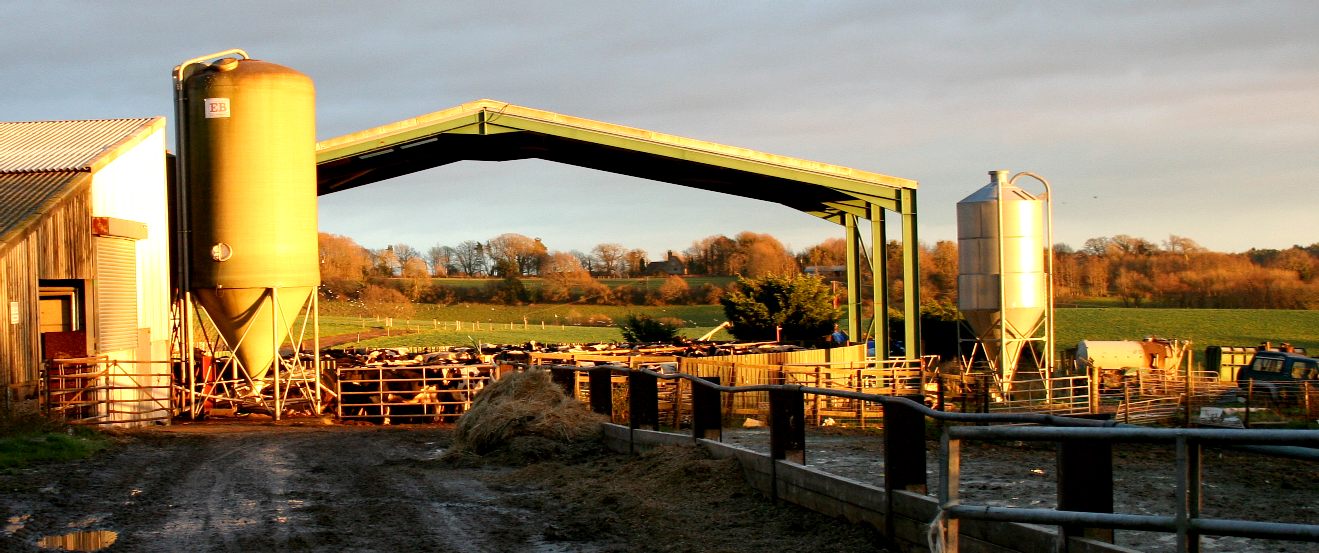Land based agricultural enterprise in Sussex