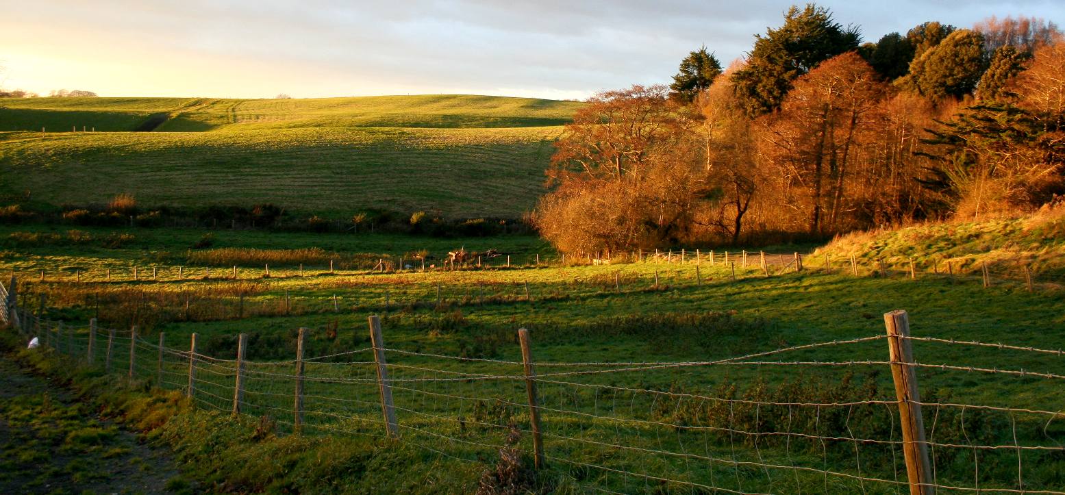 Weald area of Sussex in the not so United Kingdom