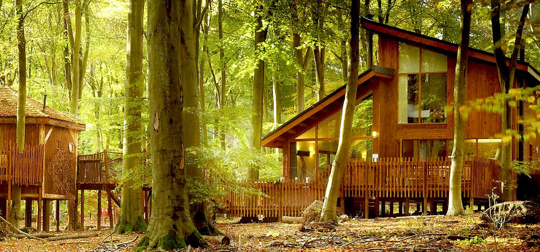 Wooden houses on stilts in a wood in England